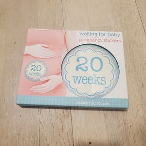 Baby Bump Belly Stickers